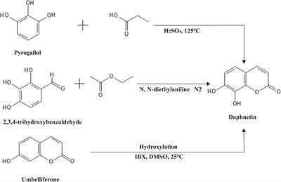 The molecular effects underlying the pharmacological activities of daphnetin